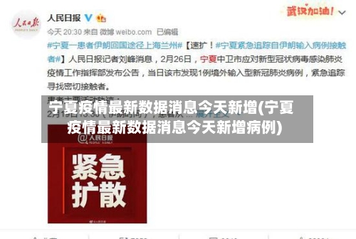宁夏疫情最新数据消息今天新增(宁夏疫情最新数据消息今天新增病例)-第2张图片