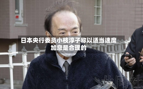 日本央行委员小枝淳子称以适当速度加息是合理的