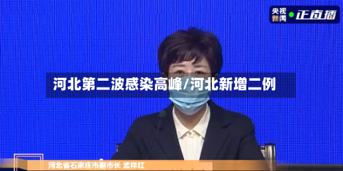 河北第二波感染高峰/河北新增二例-第2张图片