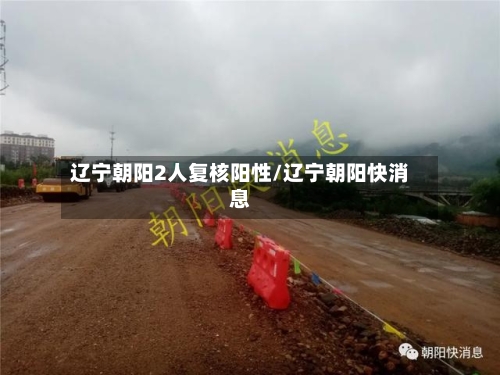 辽宁朝阳2人复核阳性/辽宁朝阳快消息-第2张图片