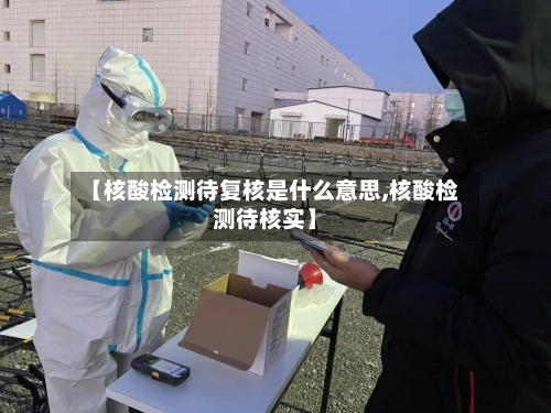 【核酸检测待复核是什么意思,核酸检测待核实】