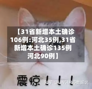 【31省新增本土确诊106例:河北35例,31省新增本土确诊135例河北90例】-第3张图片