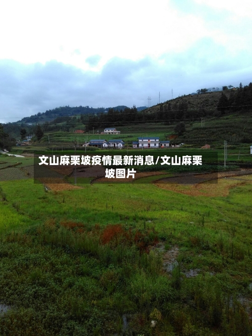 文山麻栗坡疫情最新消息/文山麻栗坡图片-第2张图片