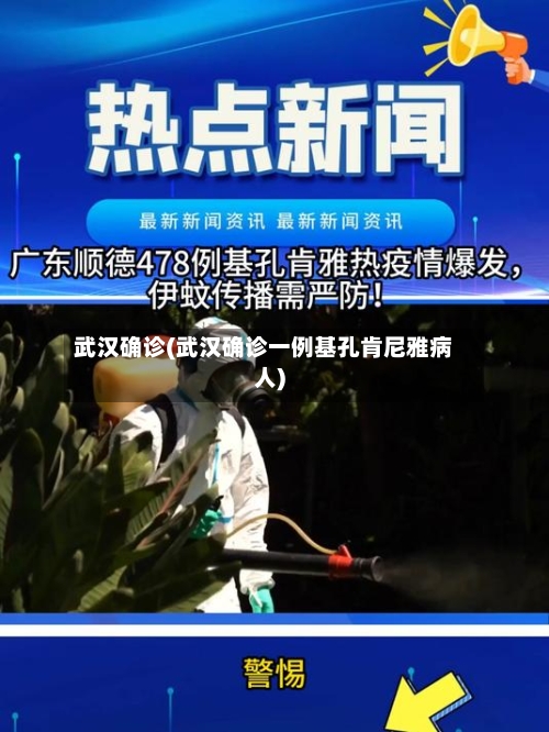 武汉确诊(武汉确诊一例基孔肯尼雅病人)-第3张图片