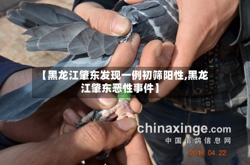 【黑龙江肇东发现一例初筛阳性,黑龙江肇东恶性事件】-第2张图片