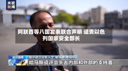 阿联酋等八国发表联合声明 谴责以色列国家安全部长