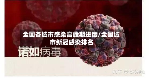 全国各城市感染高峰期进度/全国城市新冠感染排名-第3张图片